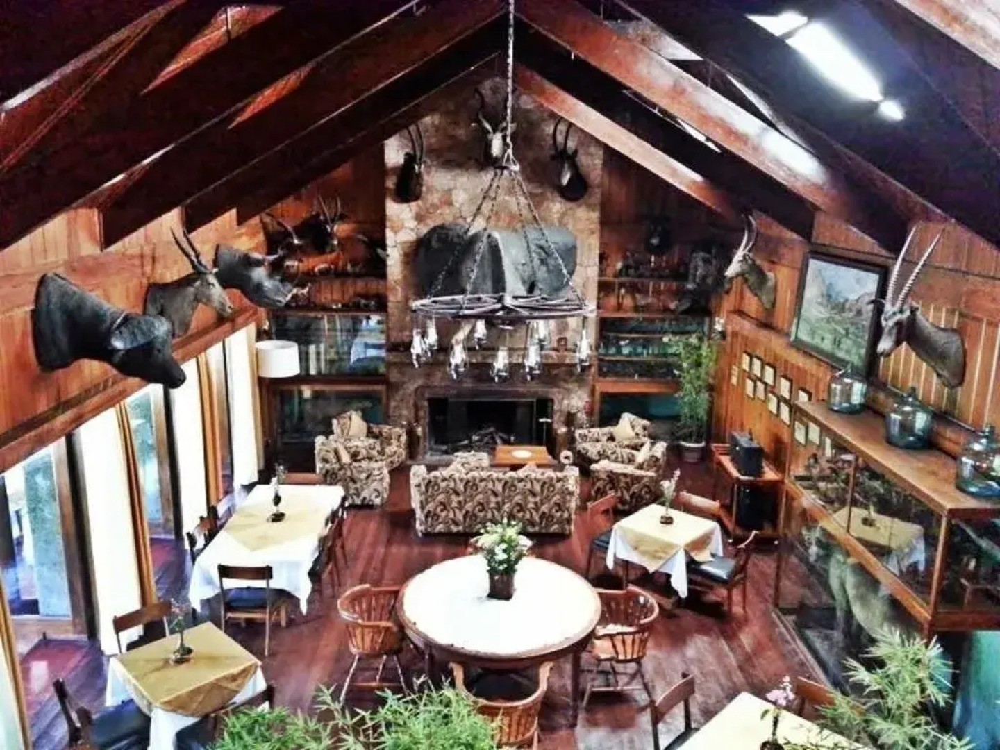 Log Cabin Hotel-Baguio