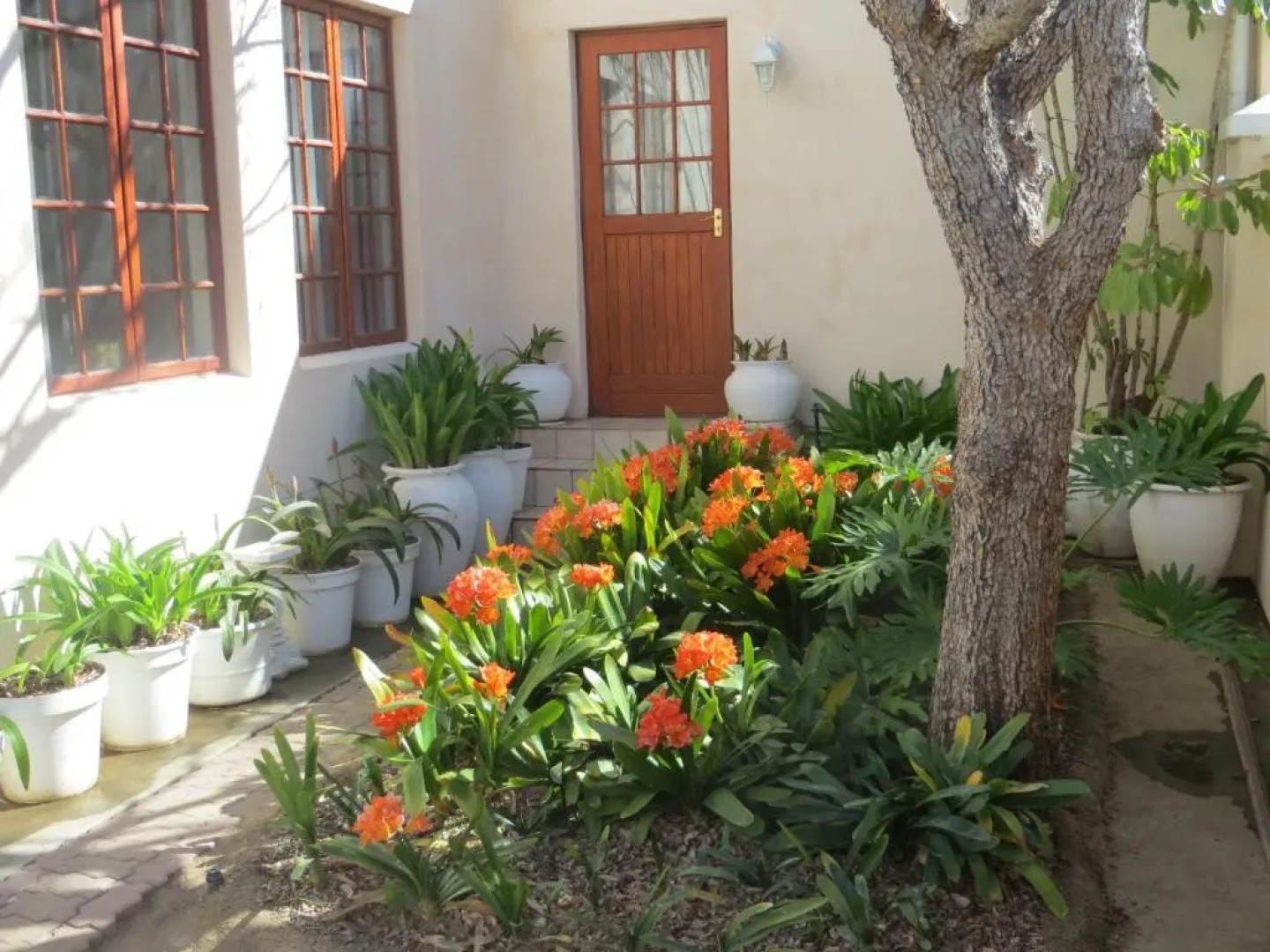 Bougain Villa Guesthouse