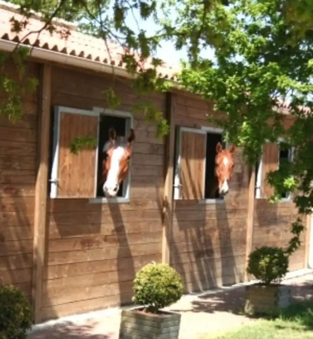 Villa With 6 Bedrooms in Sallertaine, With Private Pool, Enclosed Garden and Wifi - 15 km From the Beach