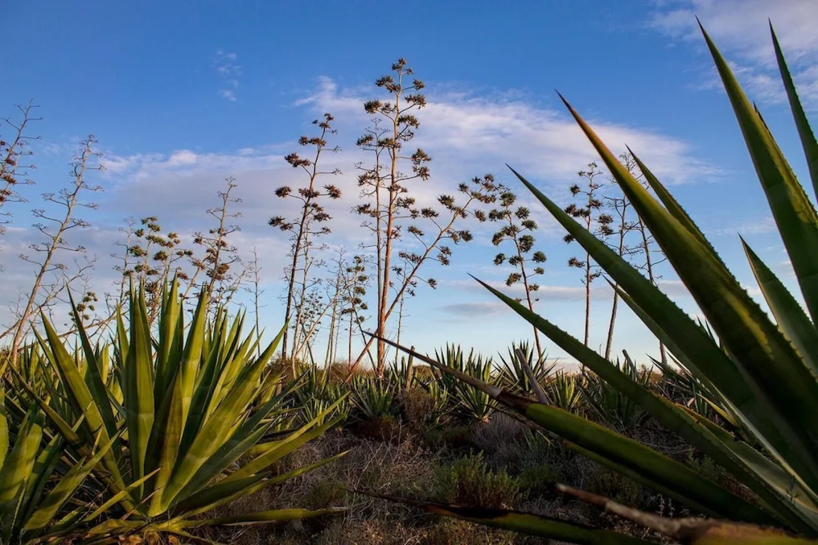 La Palmera. El amanecer en el Parque Natural