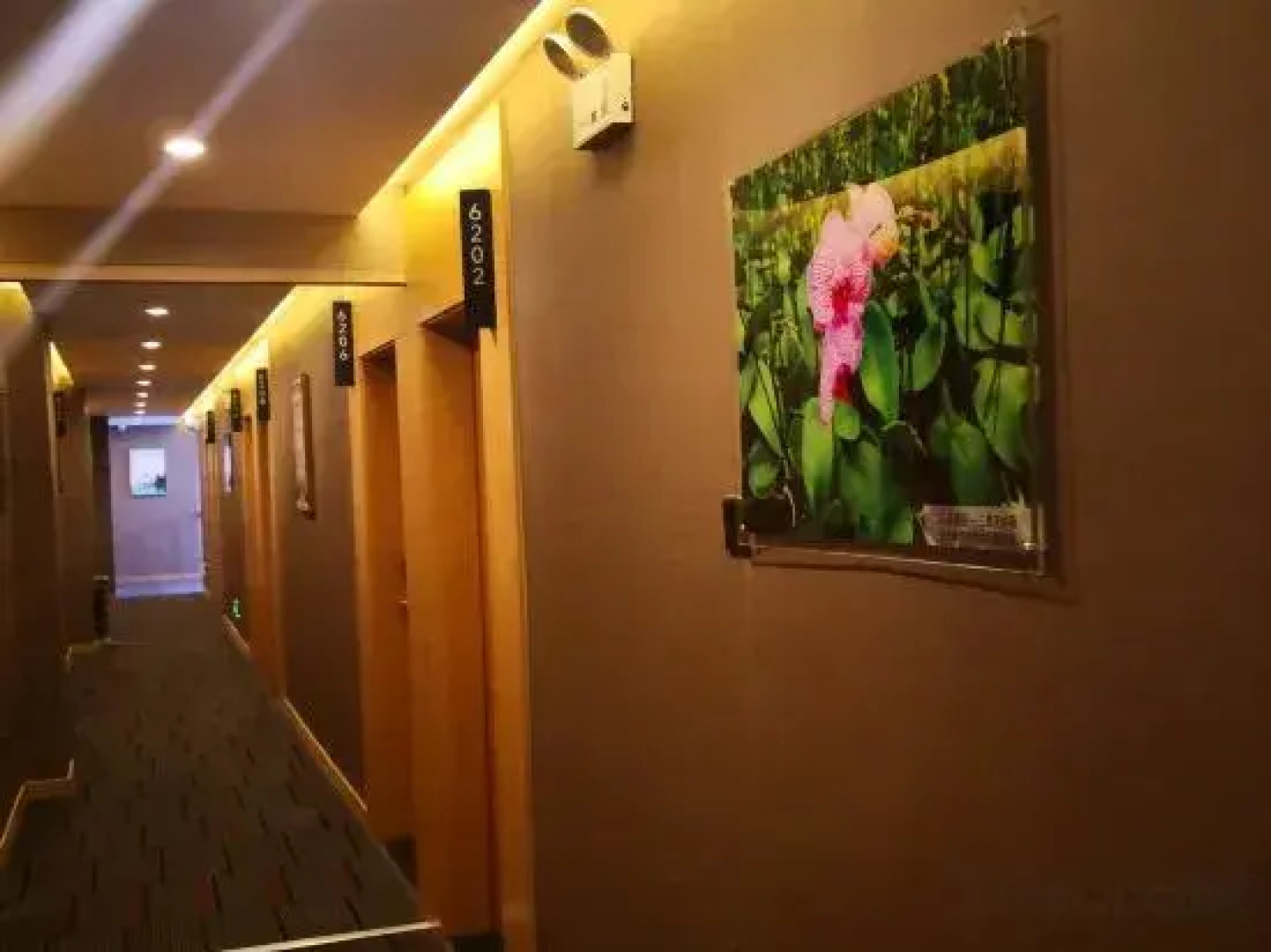 Pin Ai Boutique Hotel