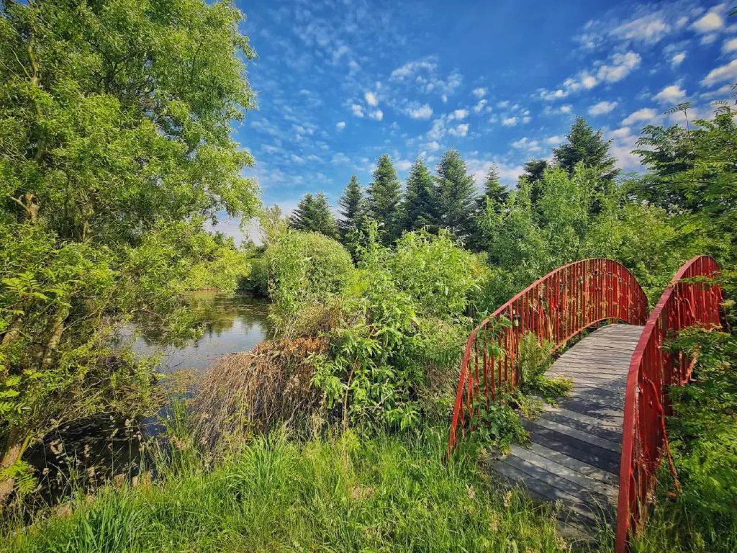 Agroturystyka Nowy Kraków