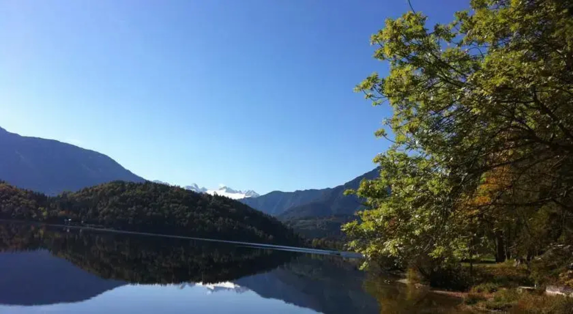 Reitbauernhof Schartner