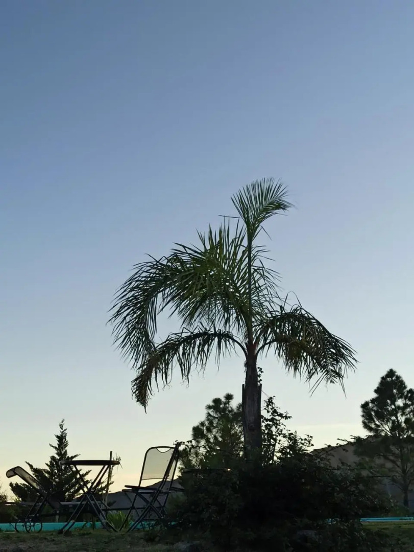 Hosteria Antiguo Refugio