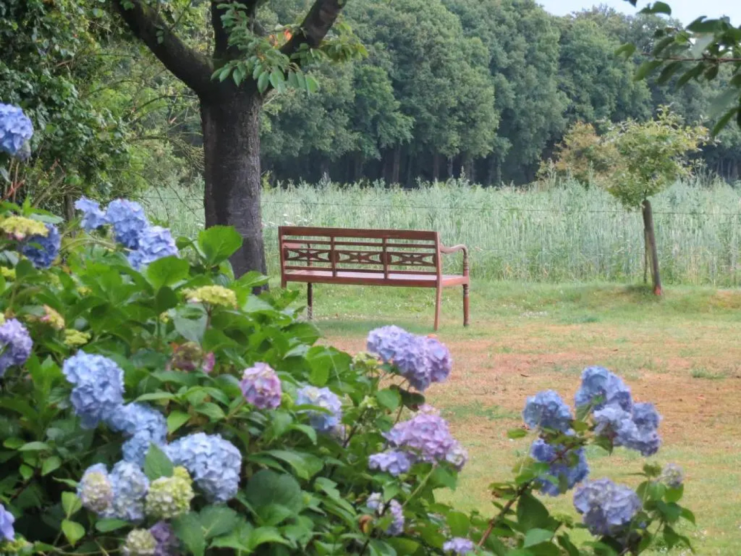 Appartement Rezonans