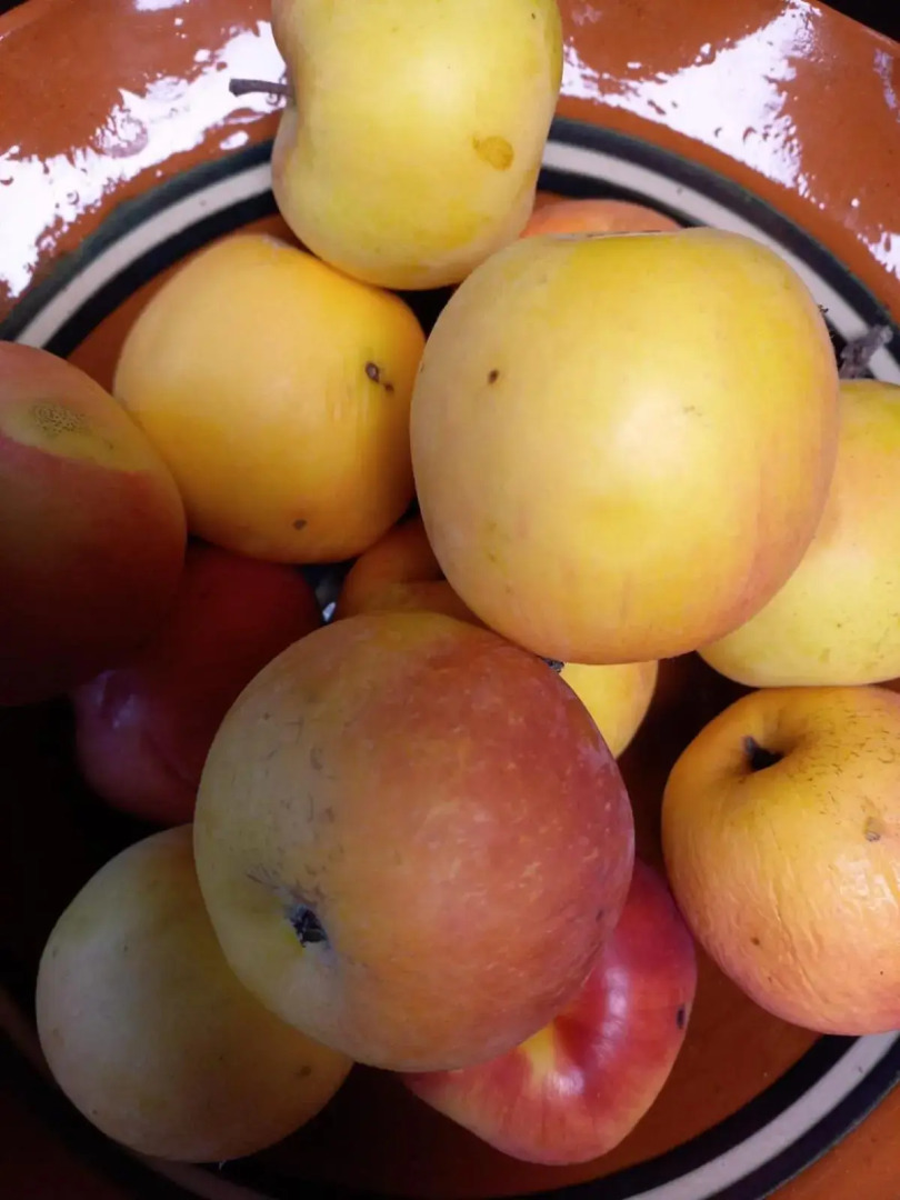 Riverside Villa Avo - Apartment AVO