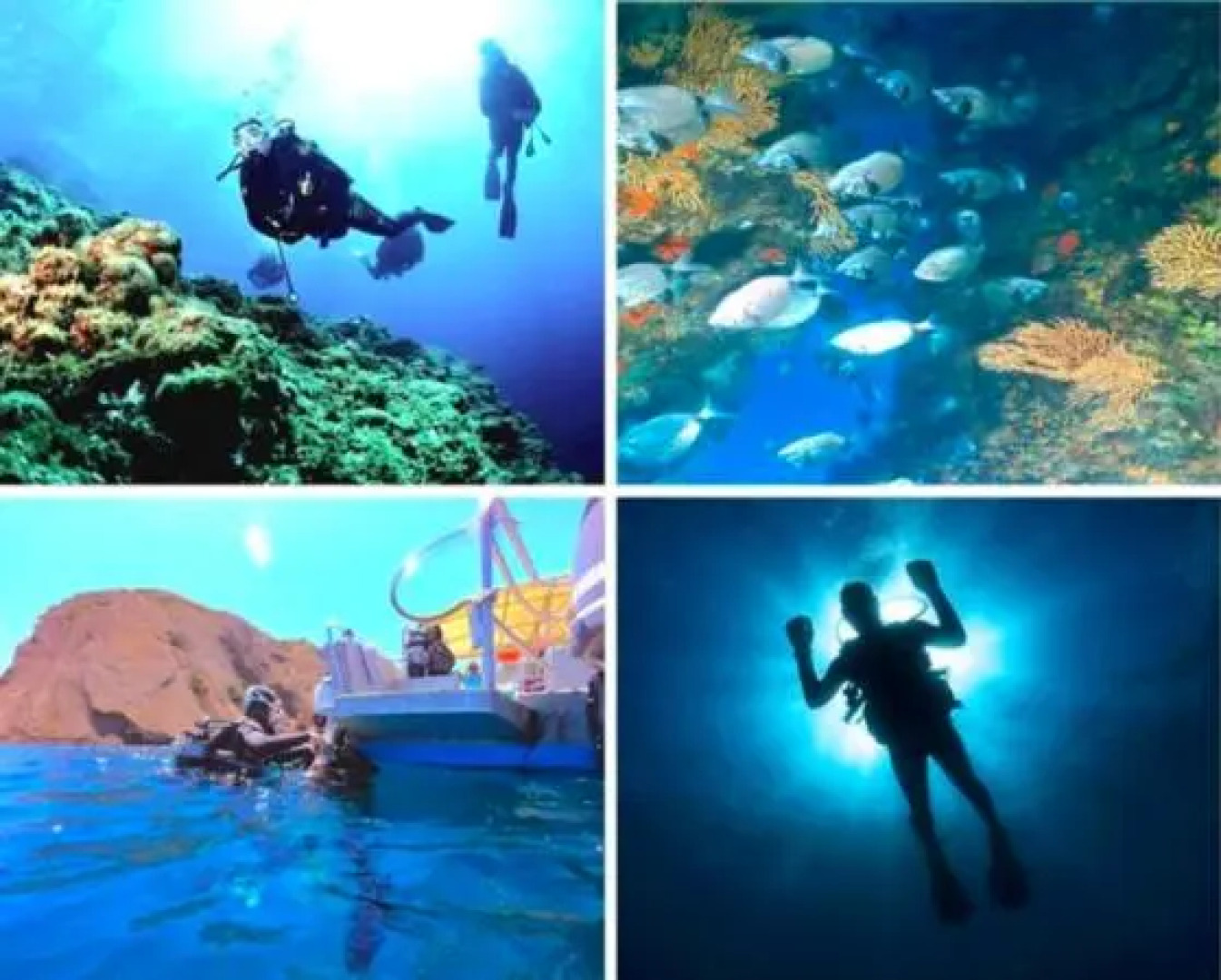 Studio L'Etoile Provençale