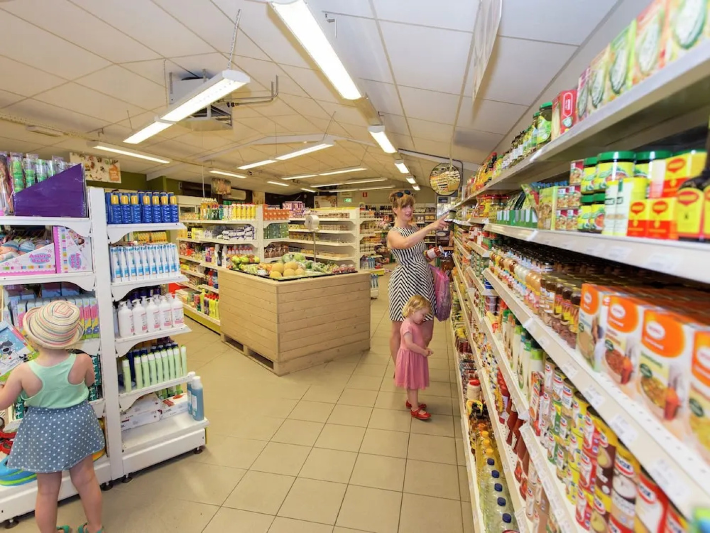 Villa in Arcen With Shower and Sauna