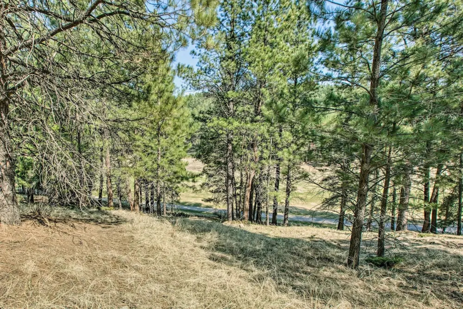 Stunning Angel Fire Cabin w/ Hot Tub & 3 Decks!