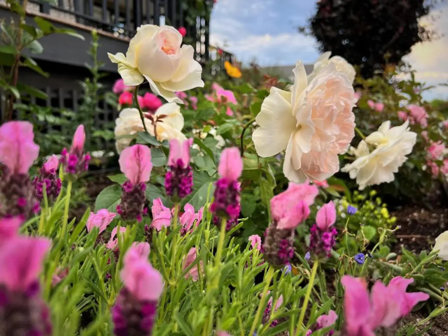 Lovely J Home -Stunning river view cozy two bedroom private suite