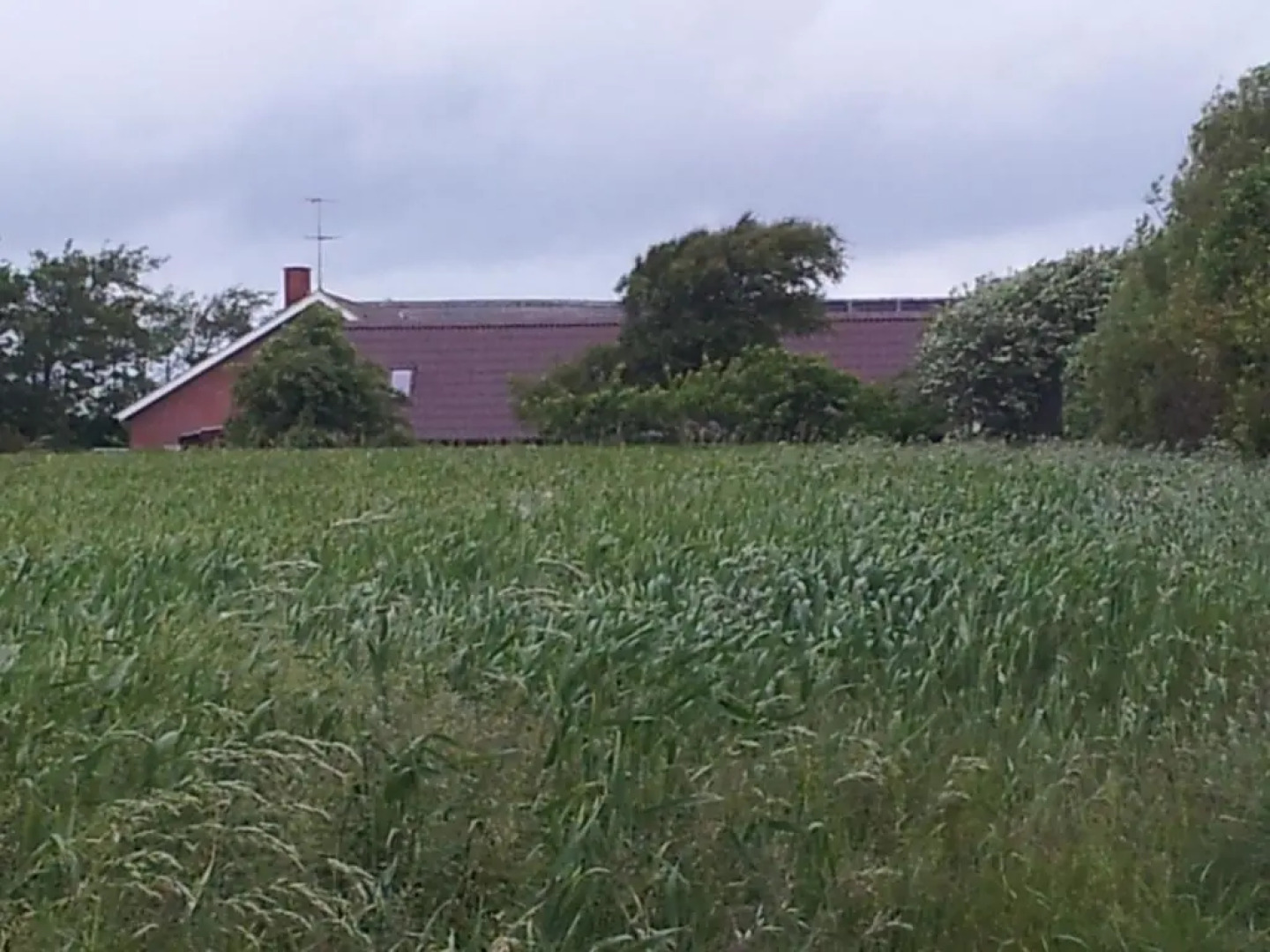 Lilleledgaard Apartment