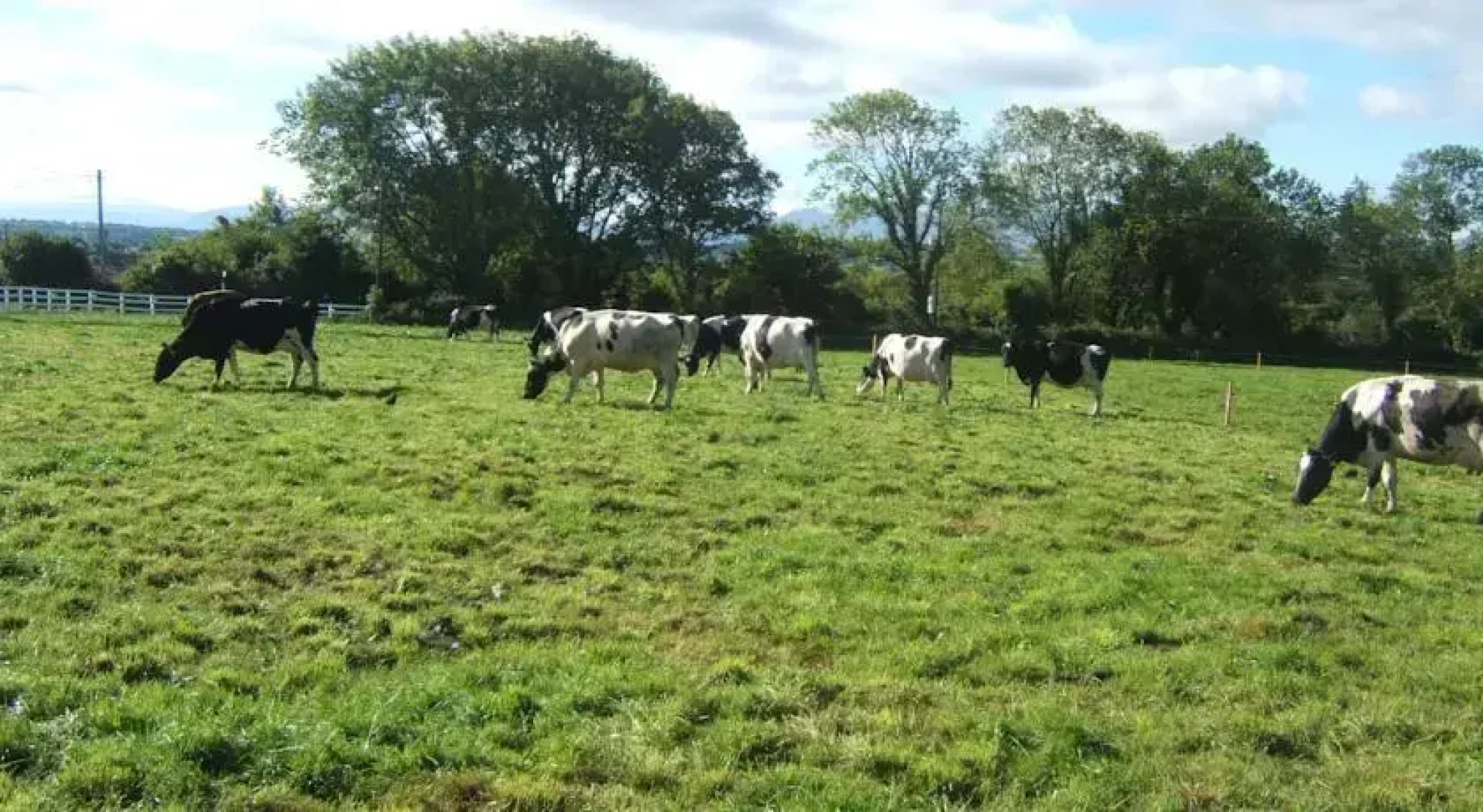 Drumville House Self Catering