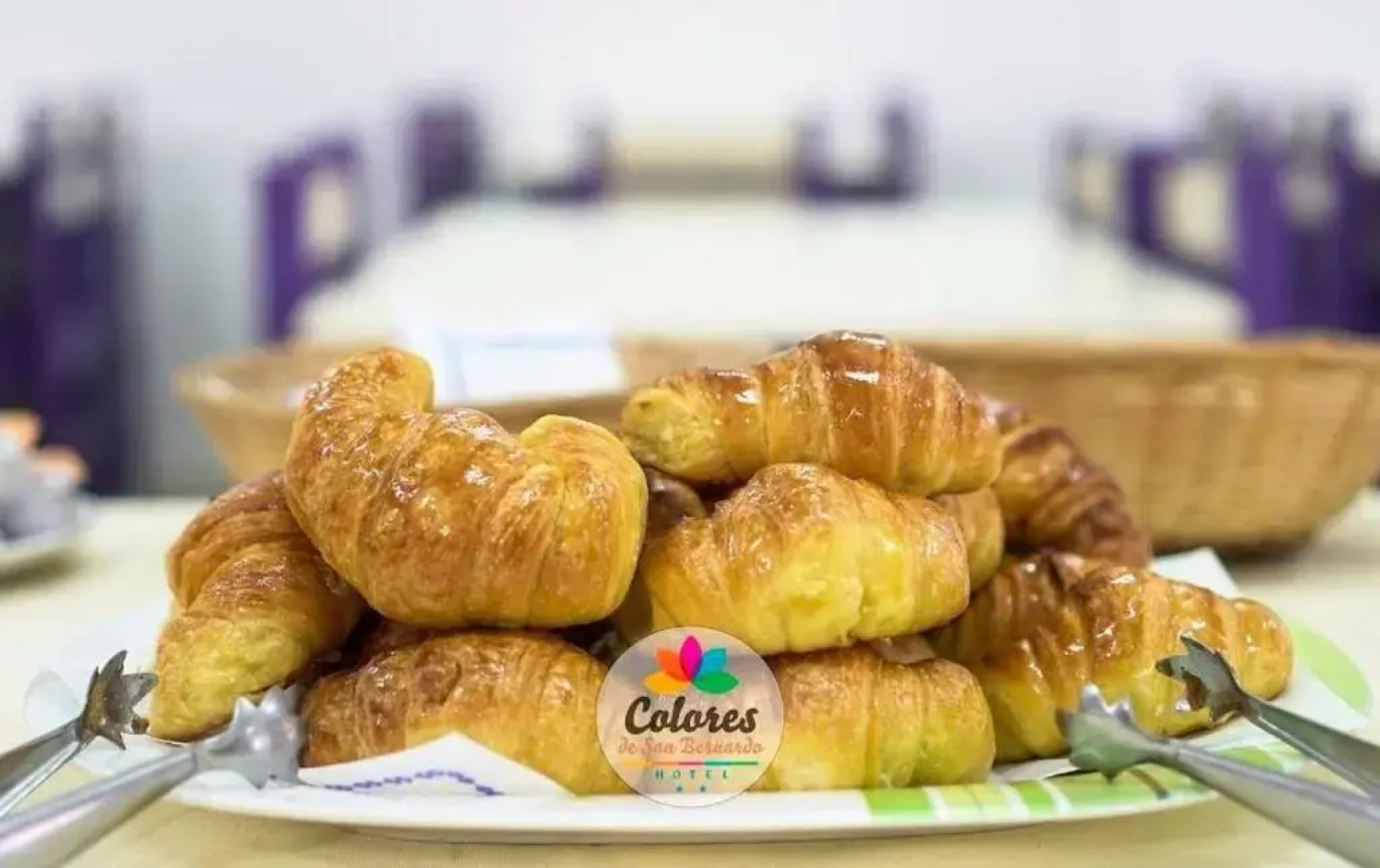 Colores De San Bernardo