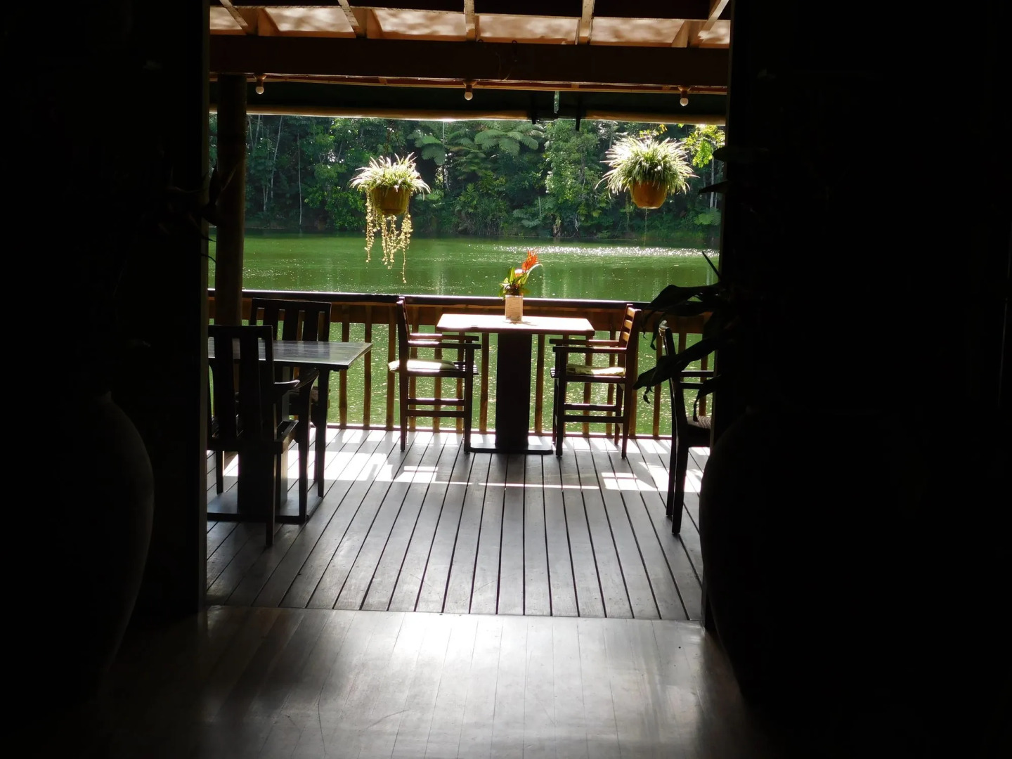 Rainforest Eco Lodge