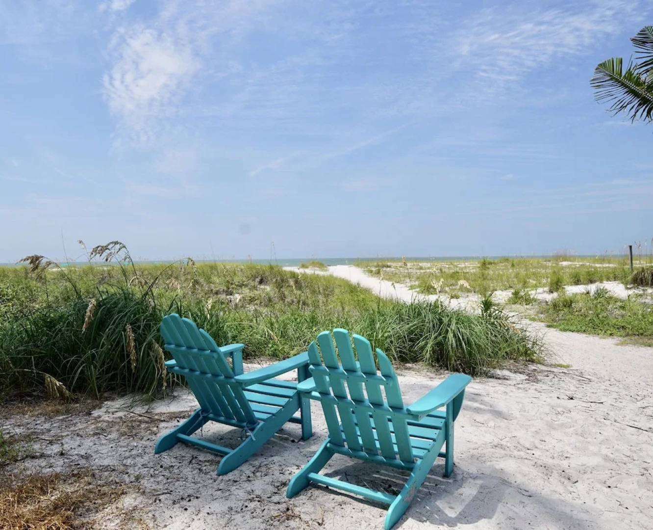 The Molloy - A Boutique Beach Resort