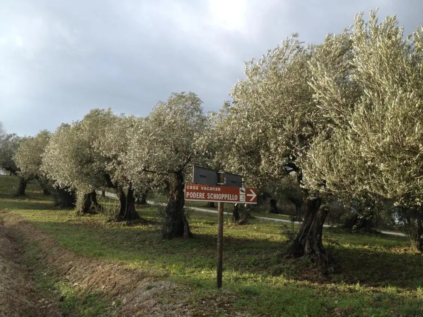 Podere Schioppello Casale con appartamenti privati