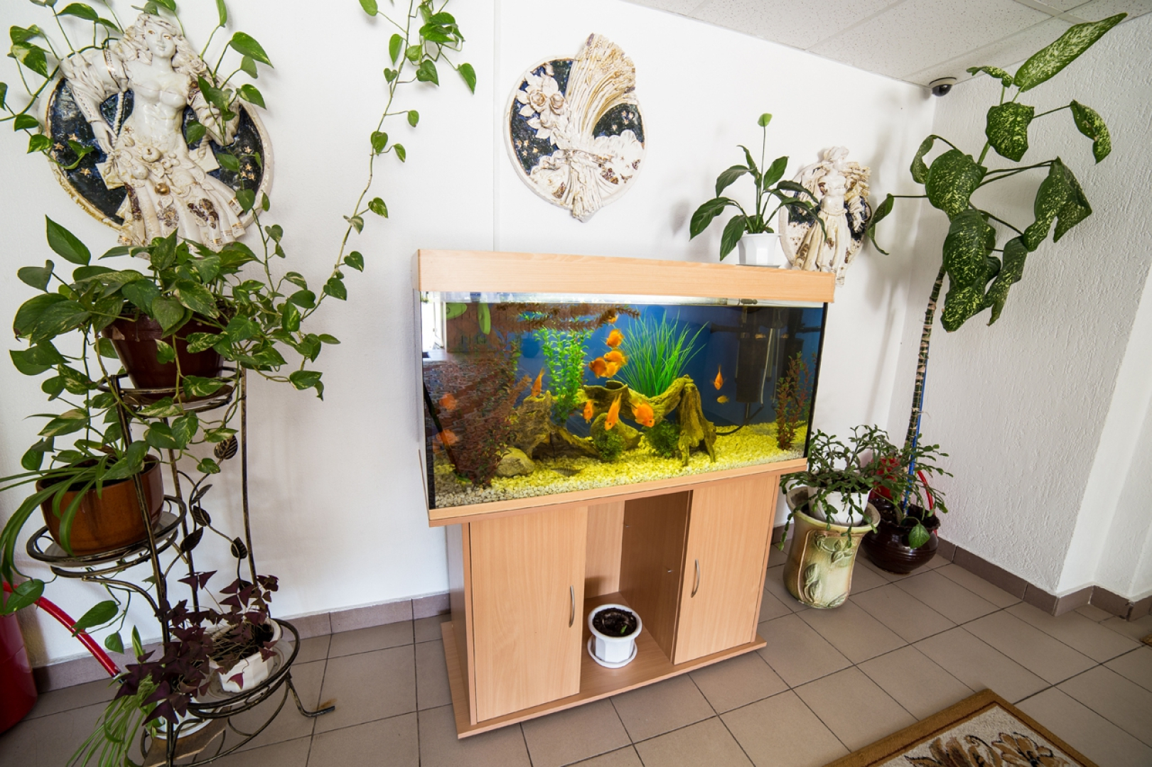 Zhuravushka, Minskaja oblast'