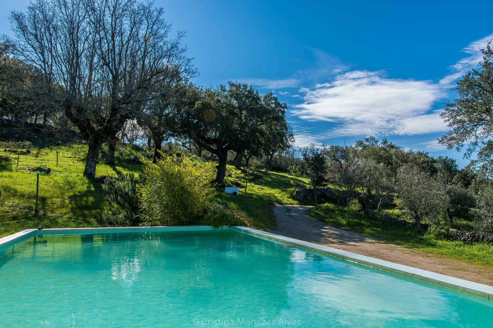 Vigias - Eternal Landscapes