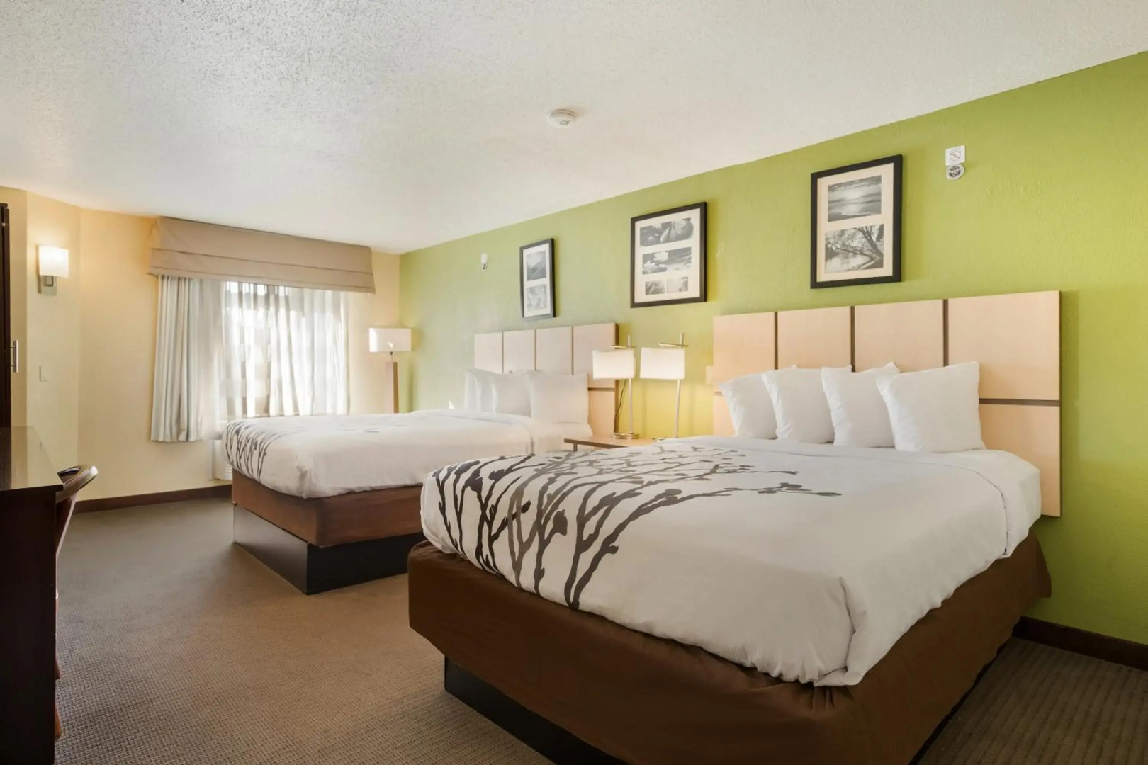 Sleep Inn & Suites Grand Rapids Southeast - Kentwood