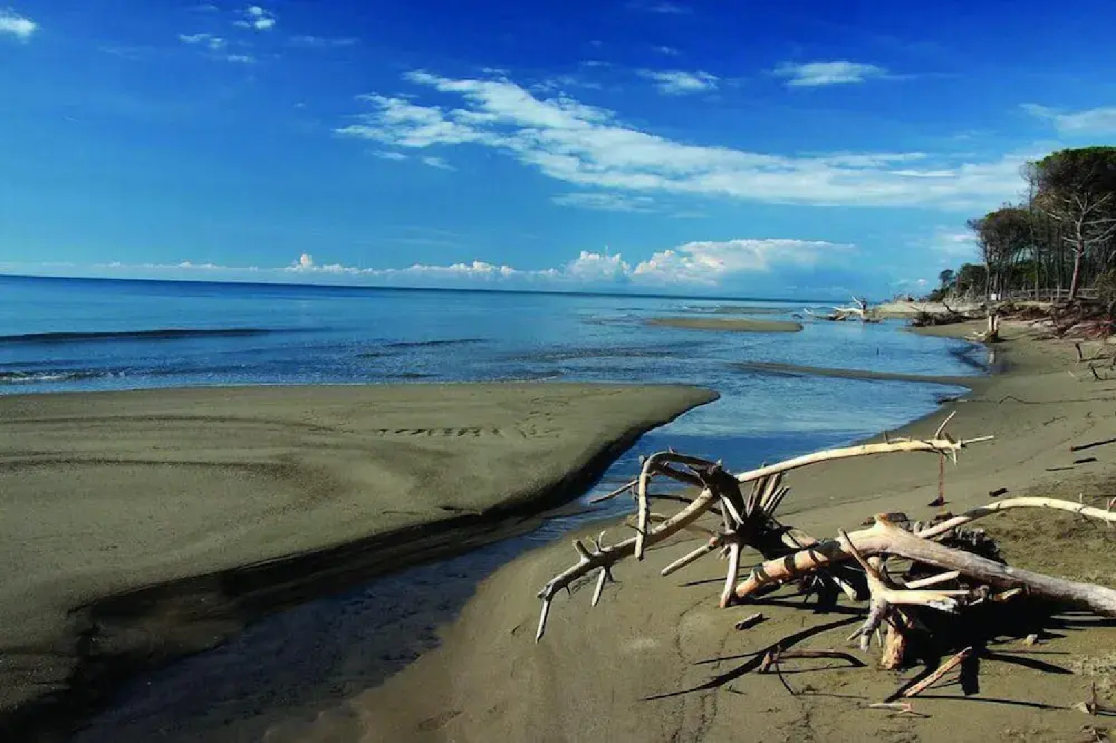 Agriturismo Giuncola e Granaiolo