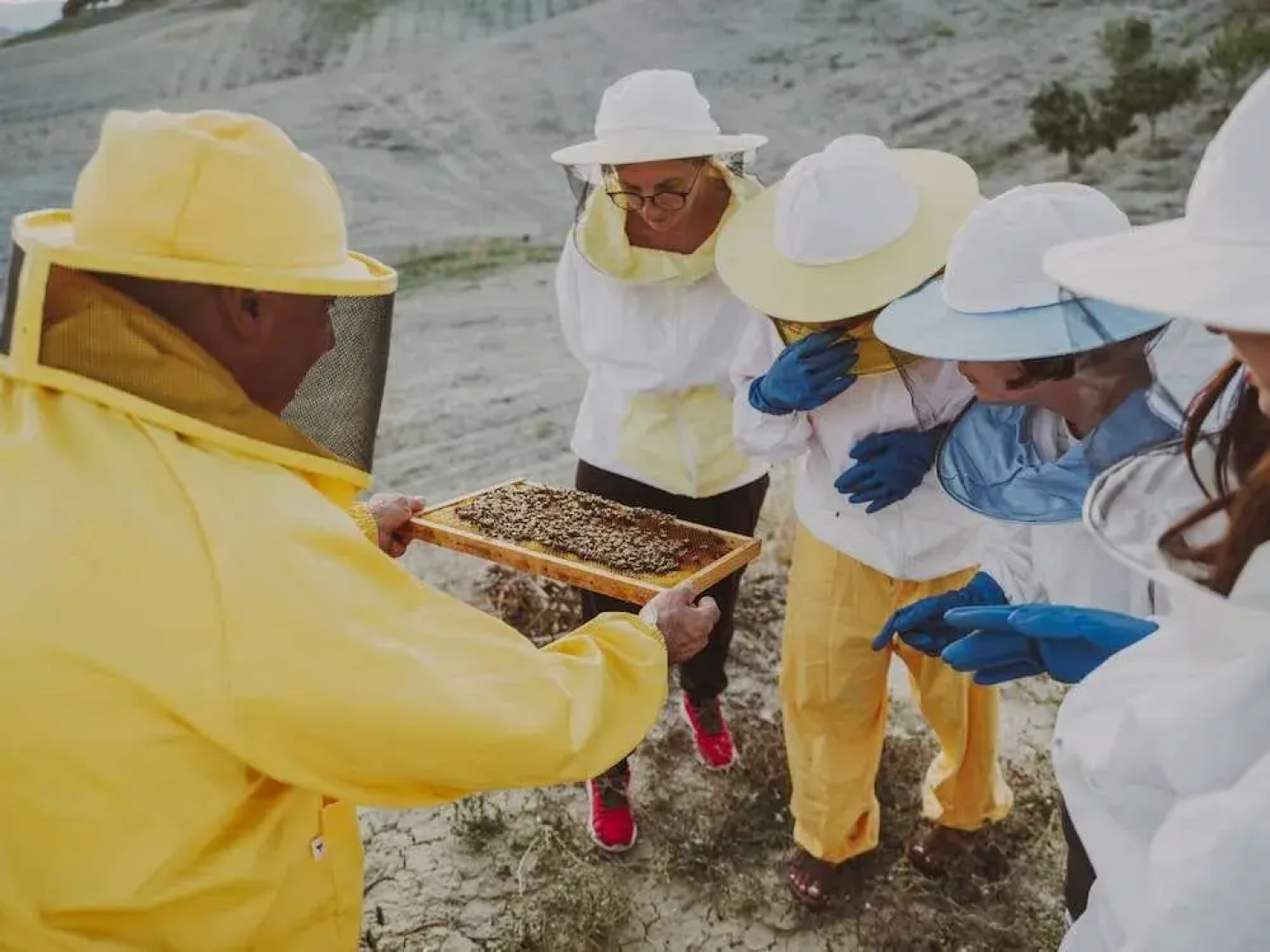 Agriturismo Pelagaccio