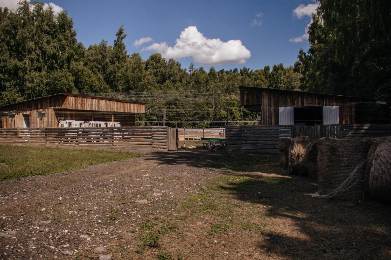 Таруса Лайф