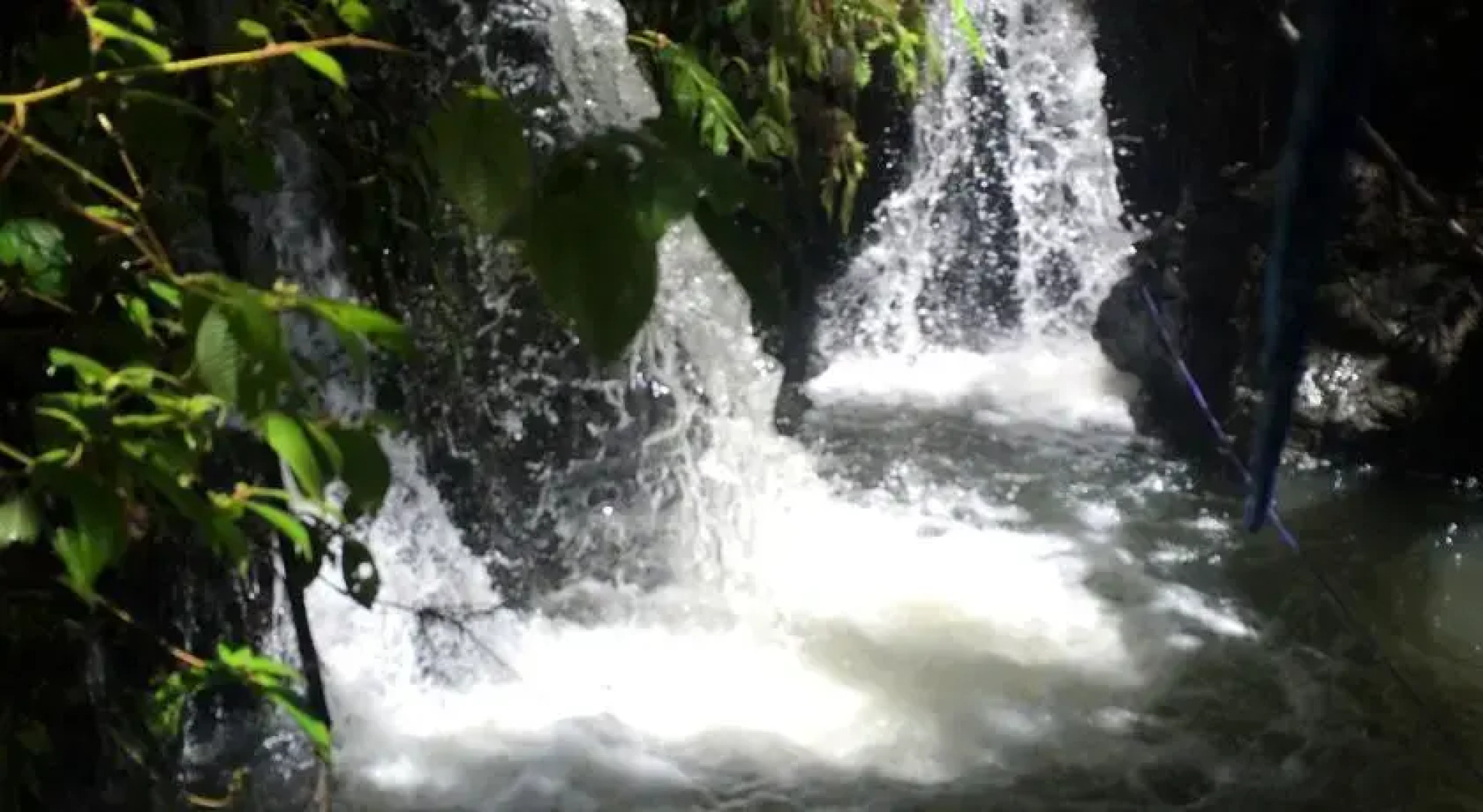 Brand New Home on 5 Acres