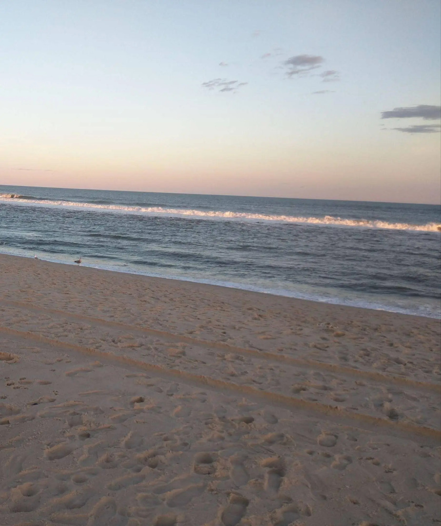 Sea Haven Resort Motel