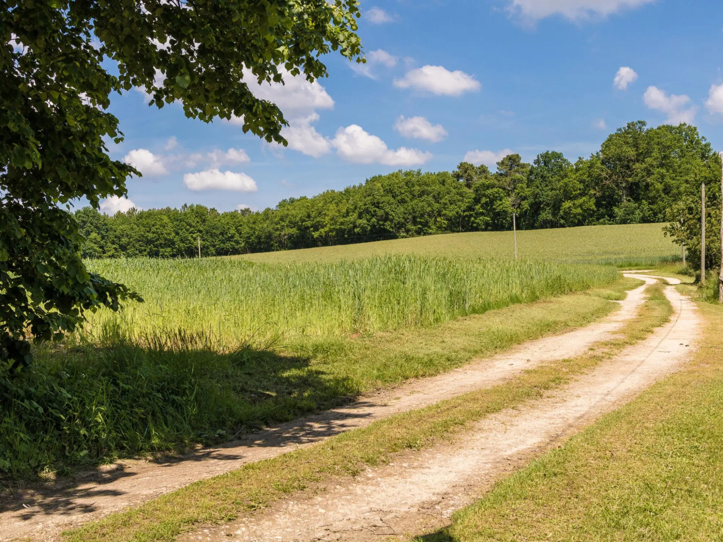 Farmhouse With Private Pool, Large Garden and Playground