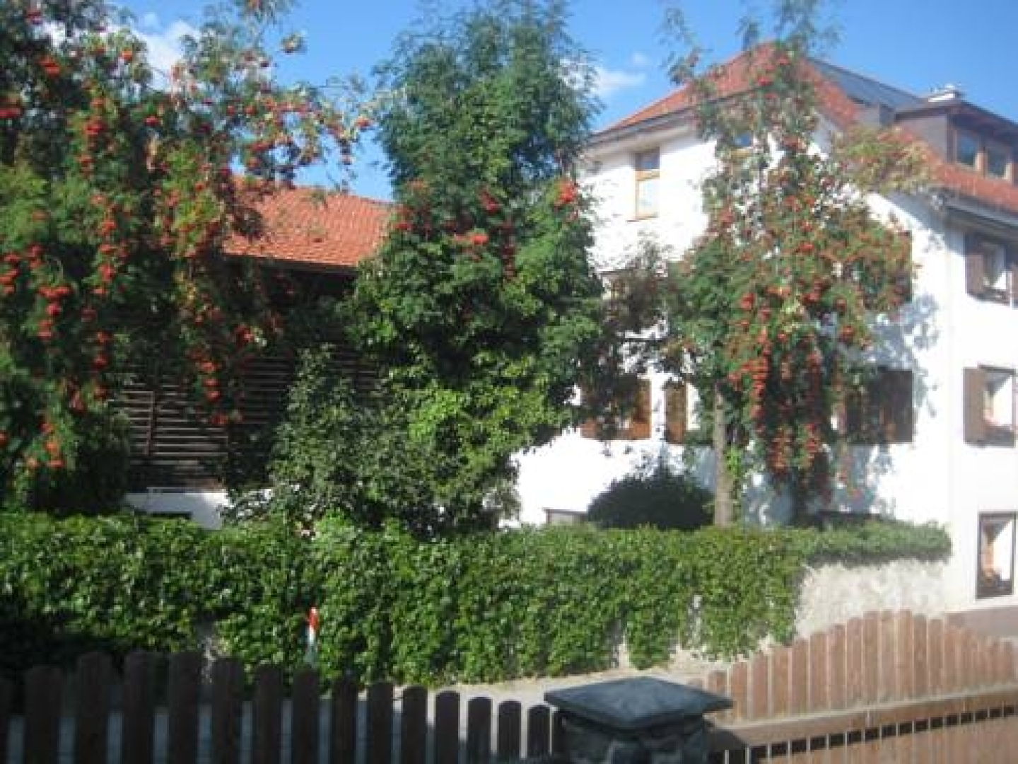 Anton und Edith Zimmermann