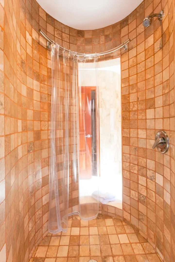 Lawson Rock Lionfish 208