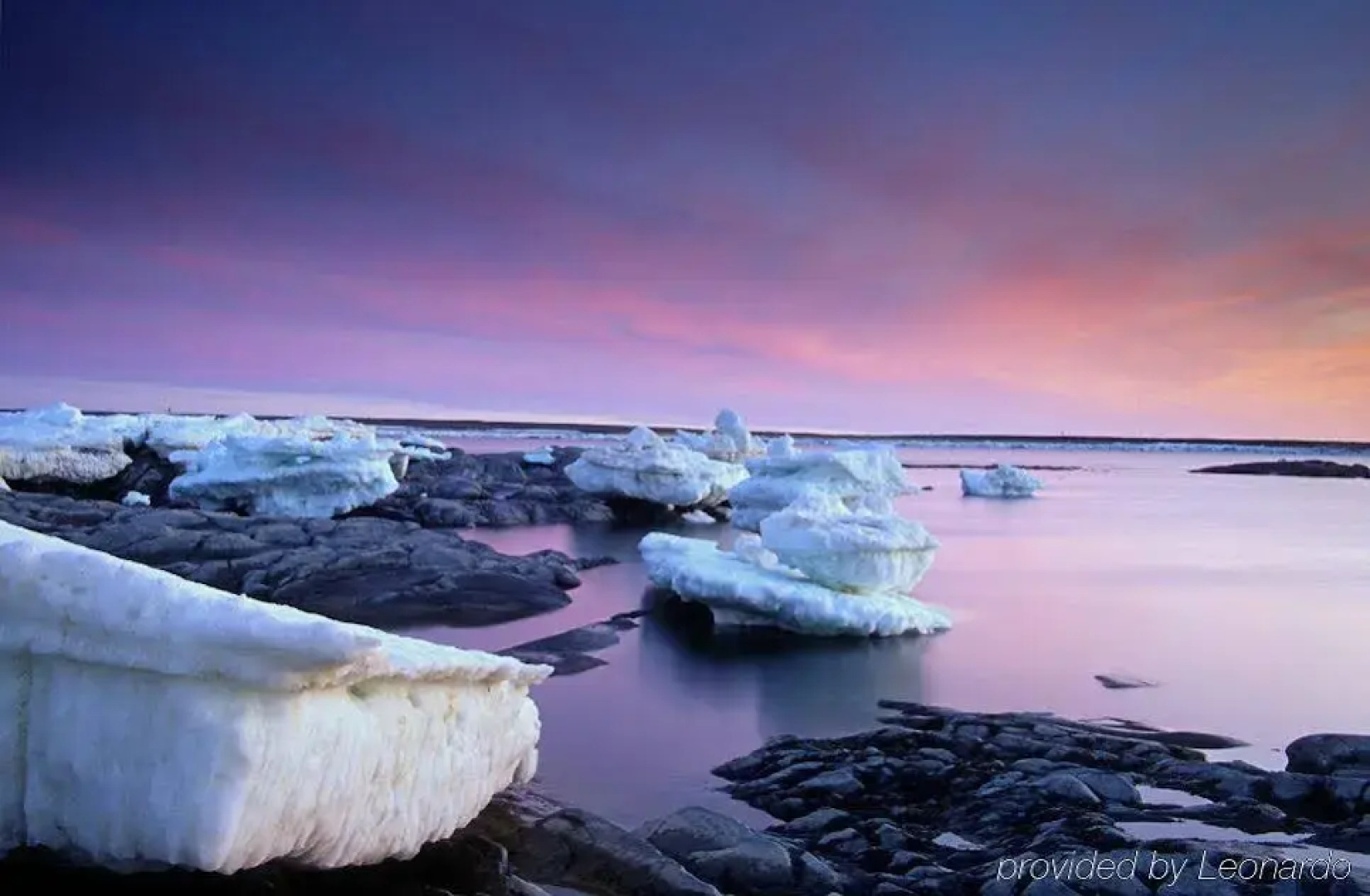 The Bear Country Inn