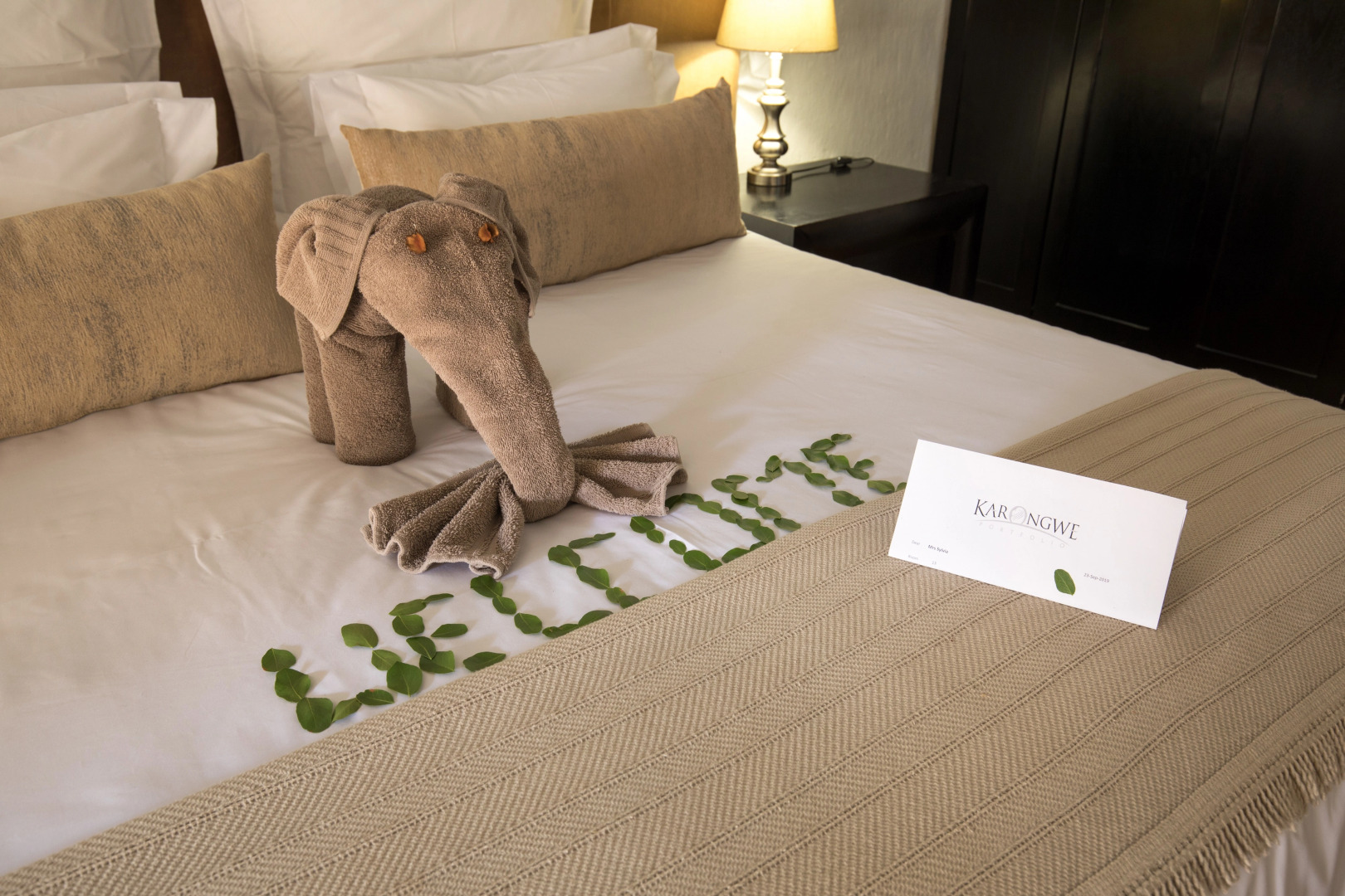 Karongwe- Shiduli Safari Lodge