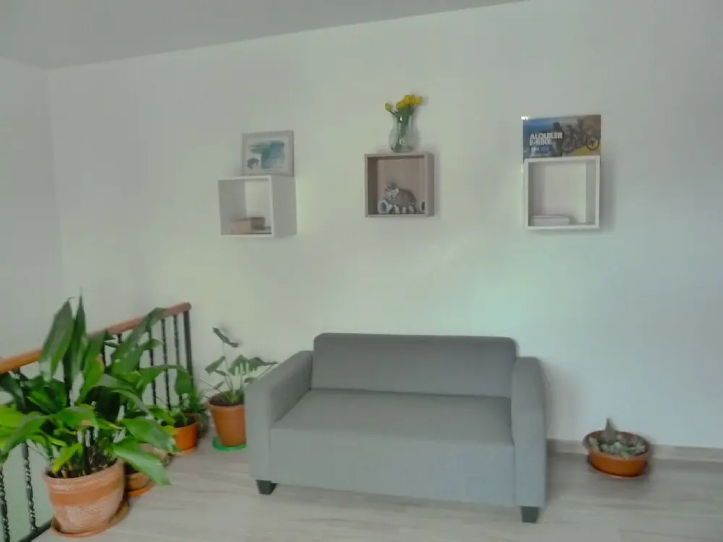 Hostal y apartamentos Casa Fermina