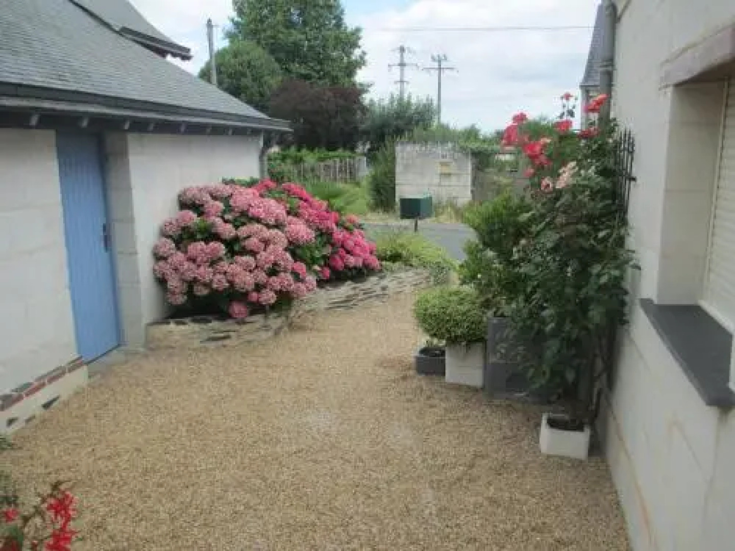 Les Palmiers à La Bohalle