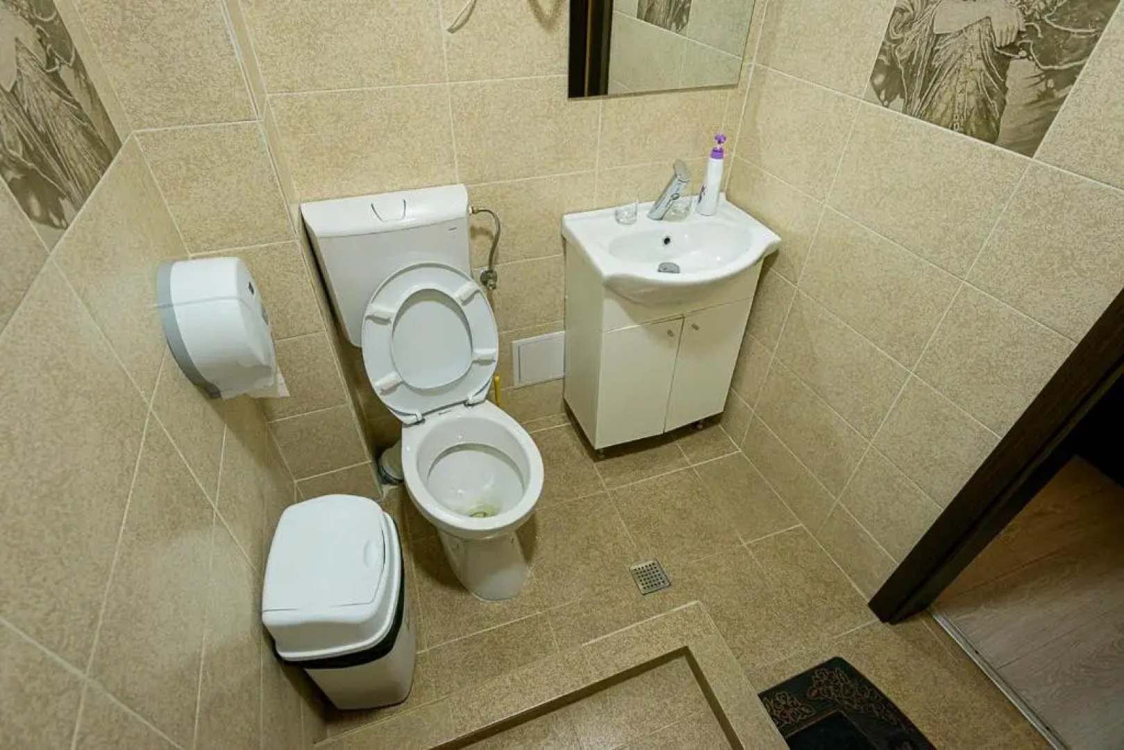 Casa Domneasca Riana