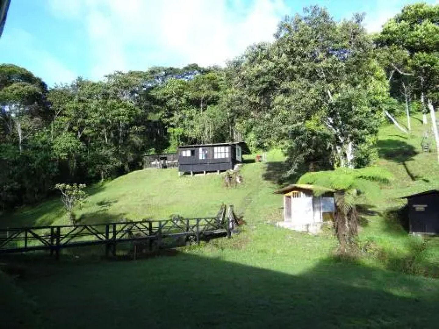Cueva de los Guacharos