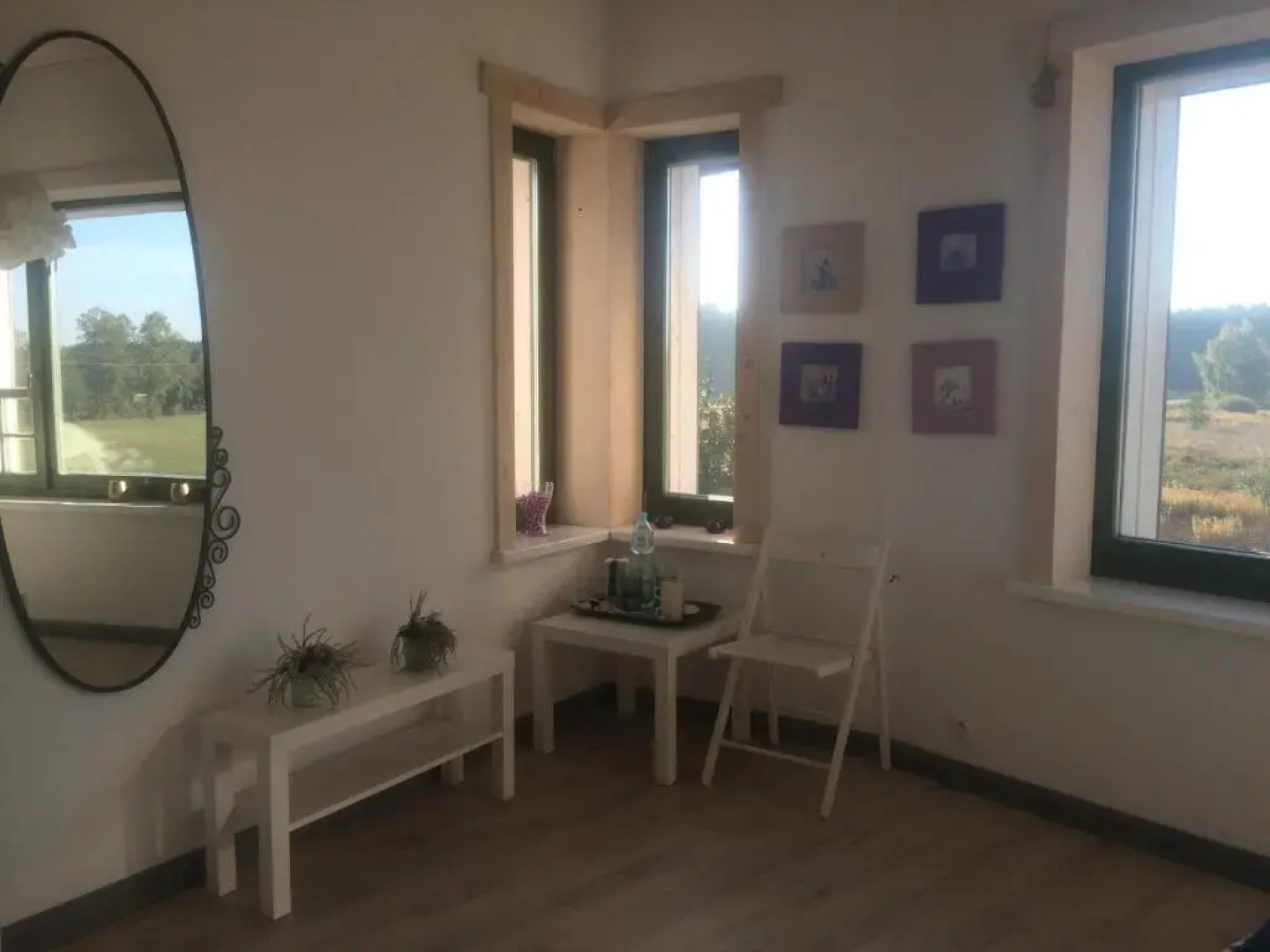 Chamedafne w Puszczy Kampinoskiej