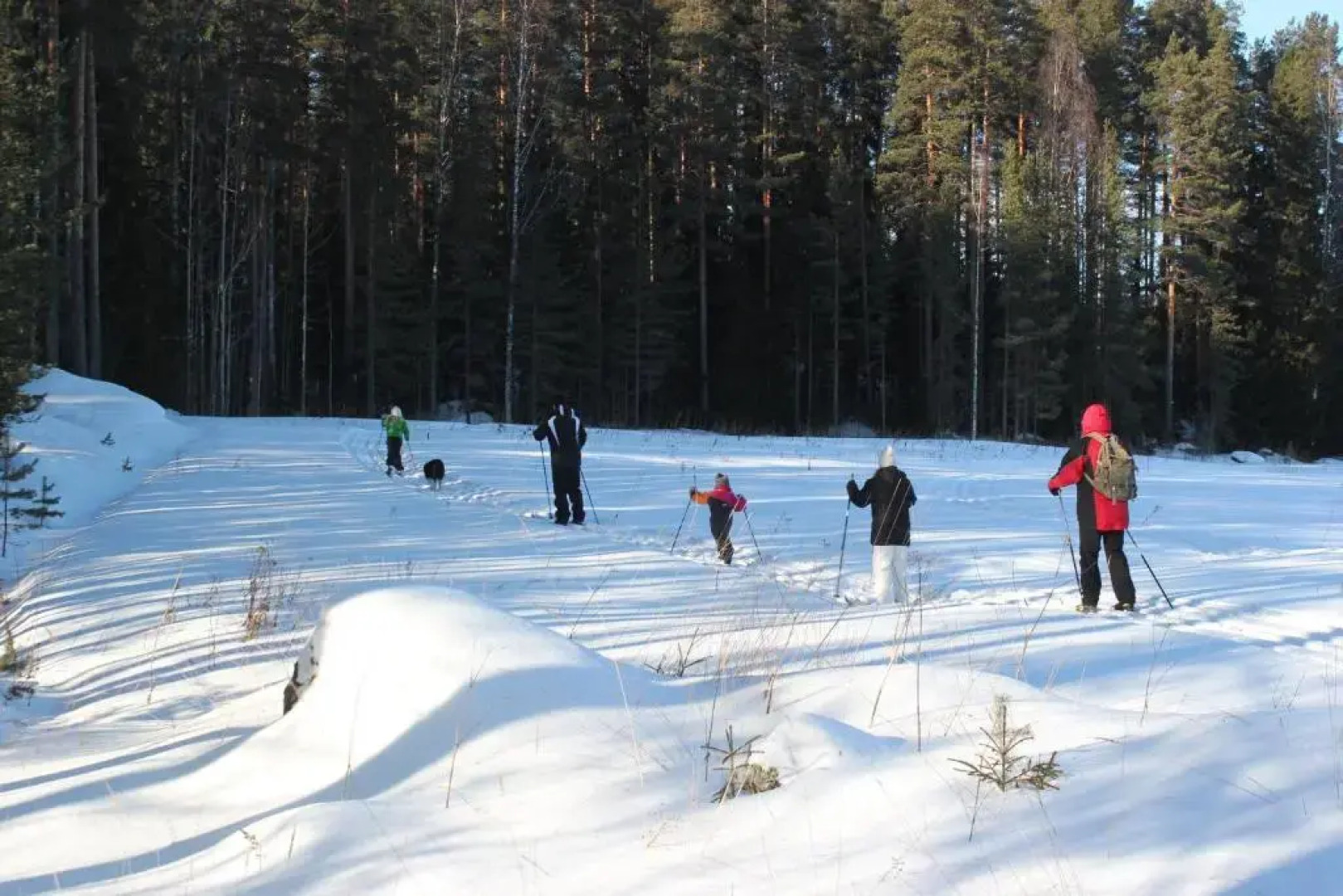 Accommodation and Fishing Vonkale