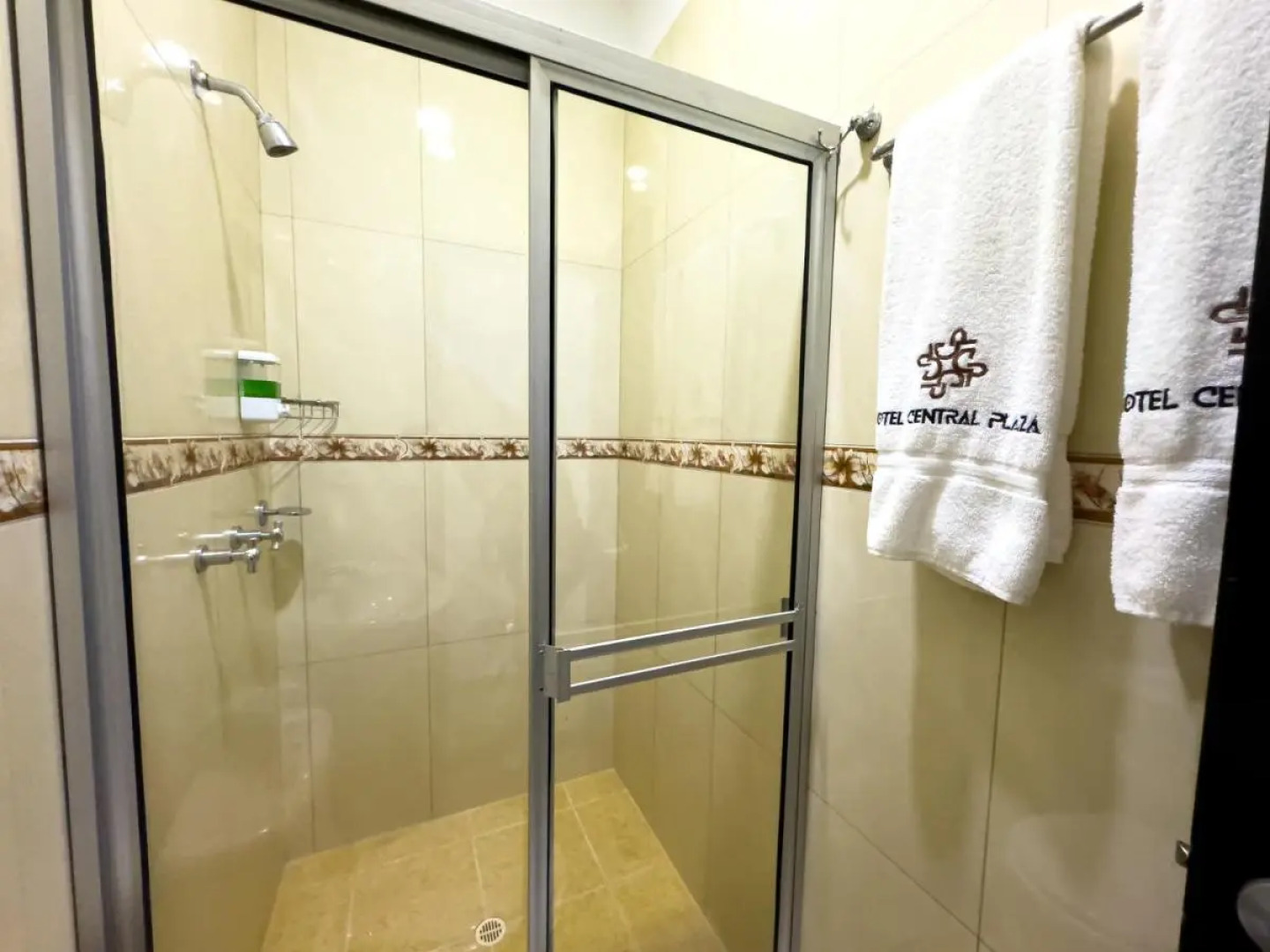 Hotel Central Plaza Medellin