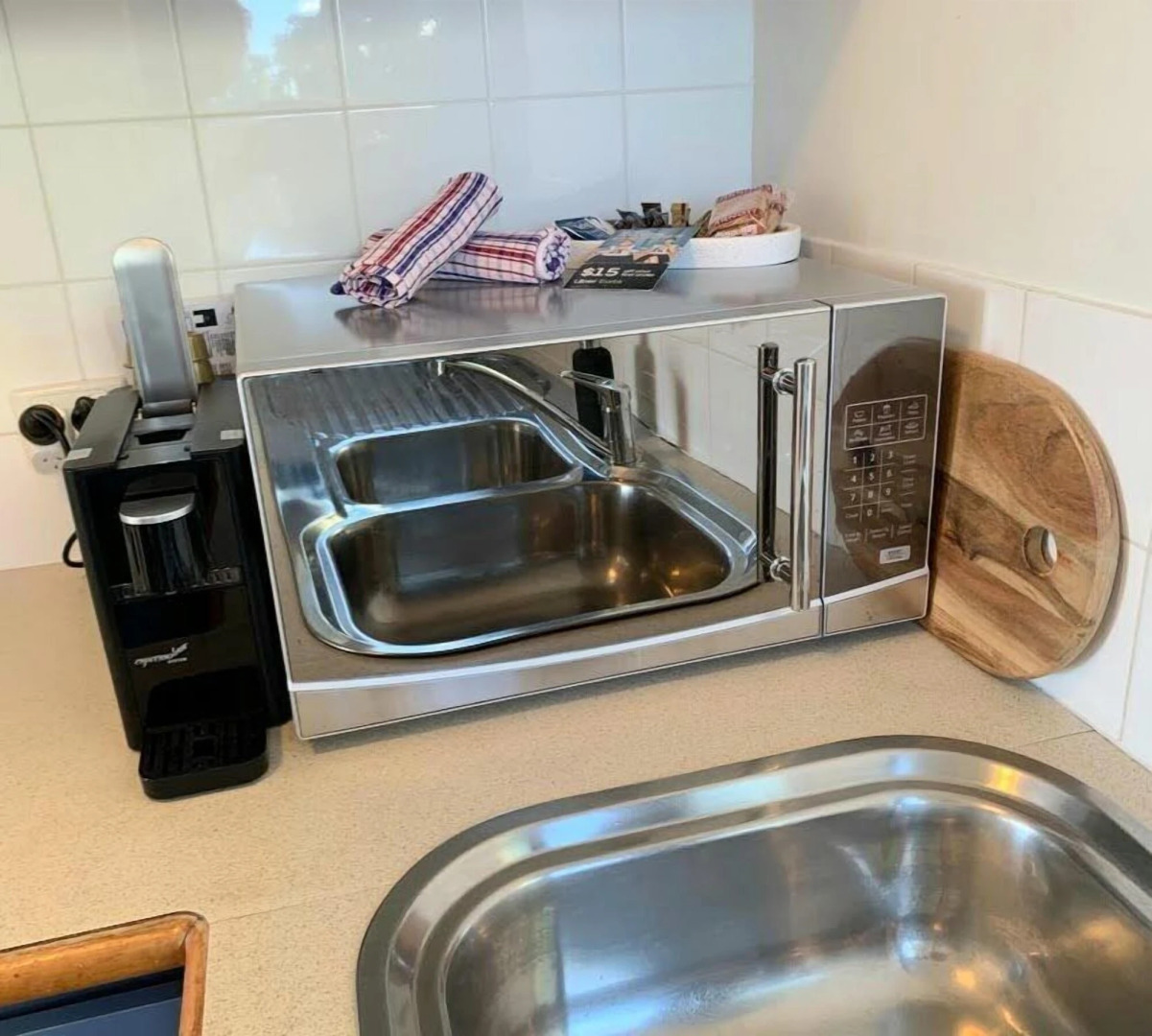 Seashells Scarborough