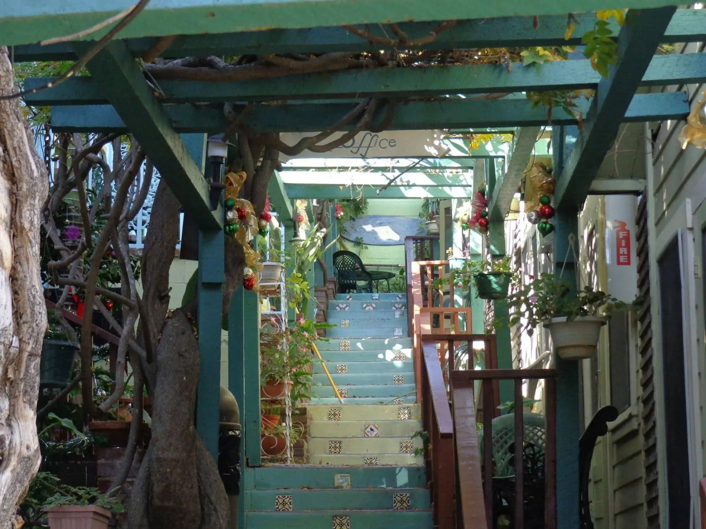 La Paloma Las Flores