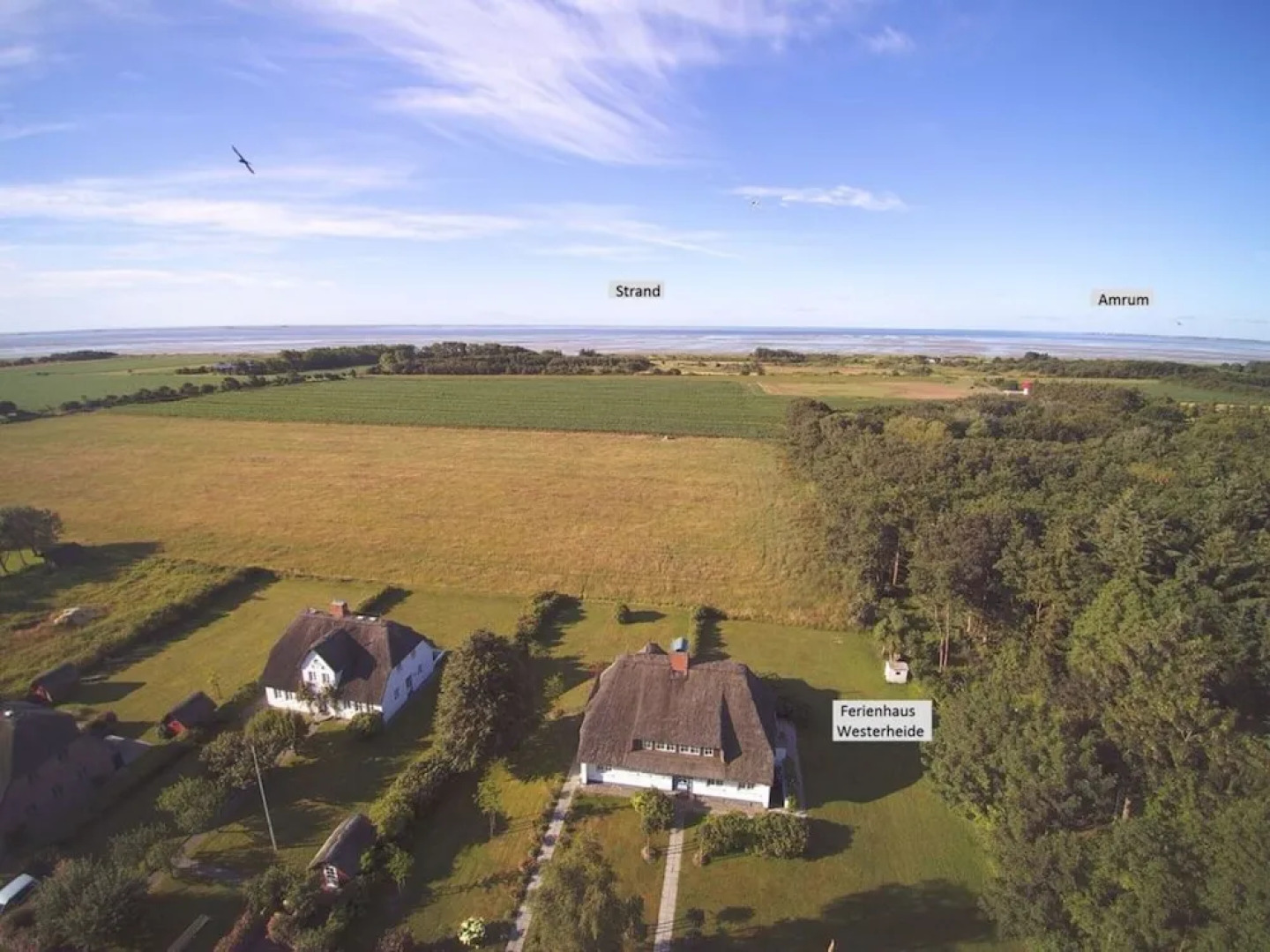 Westerheide Modern Retreat