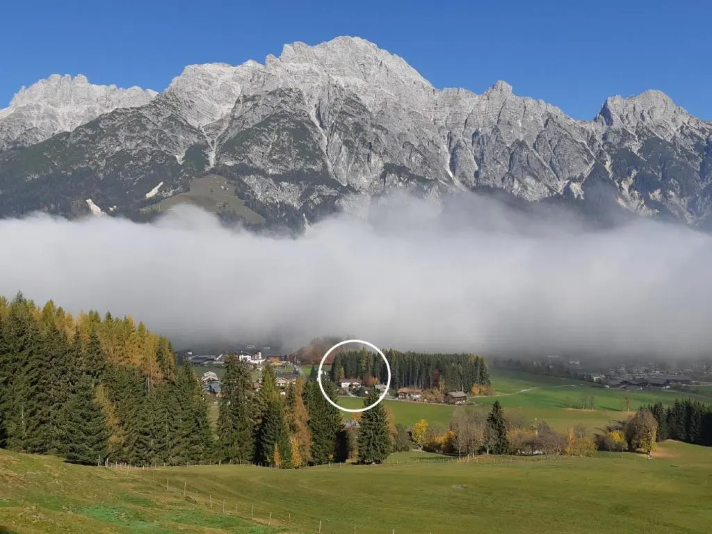 Appartement Haus Petra