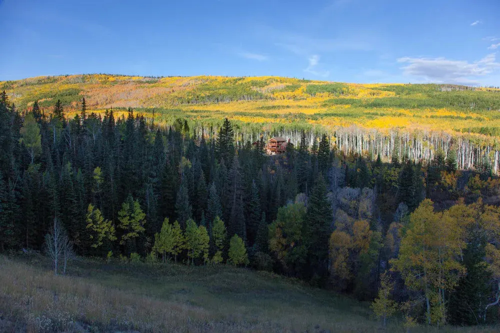 Wild Skies Cabin Rentals