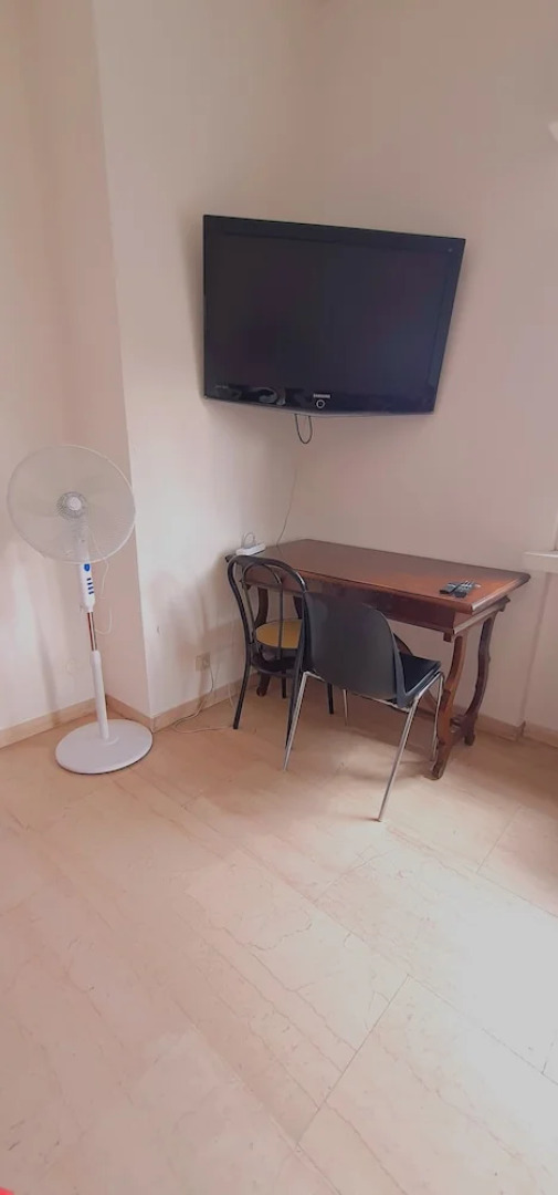 Mikasa Balduina Roma