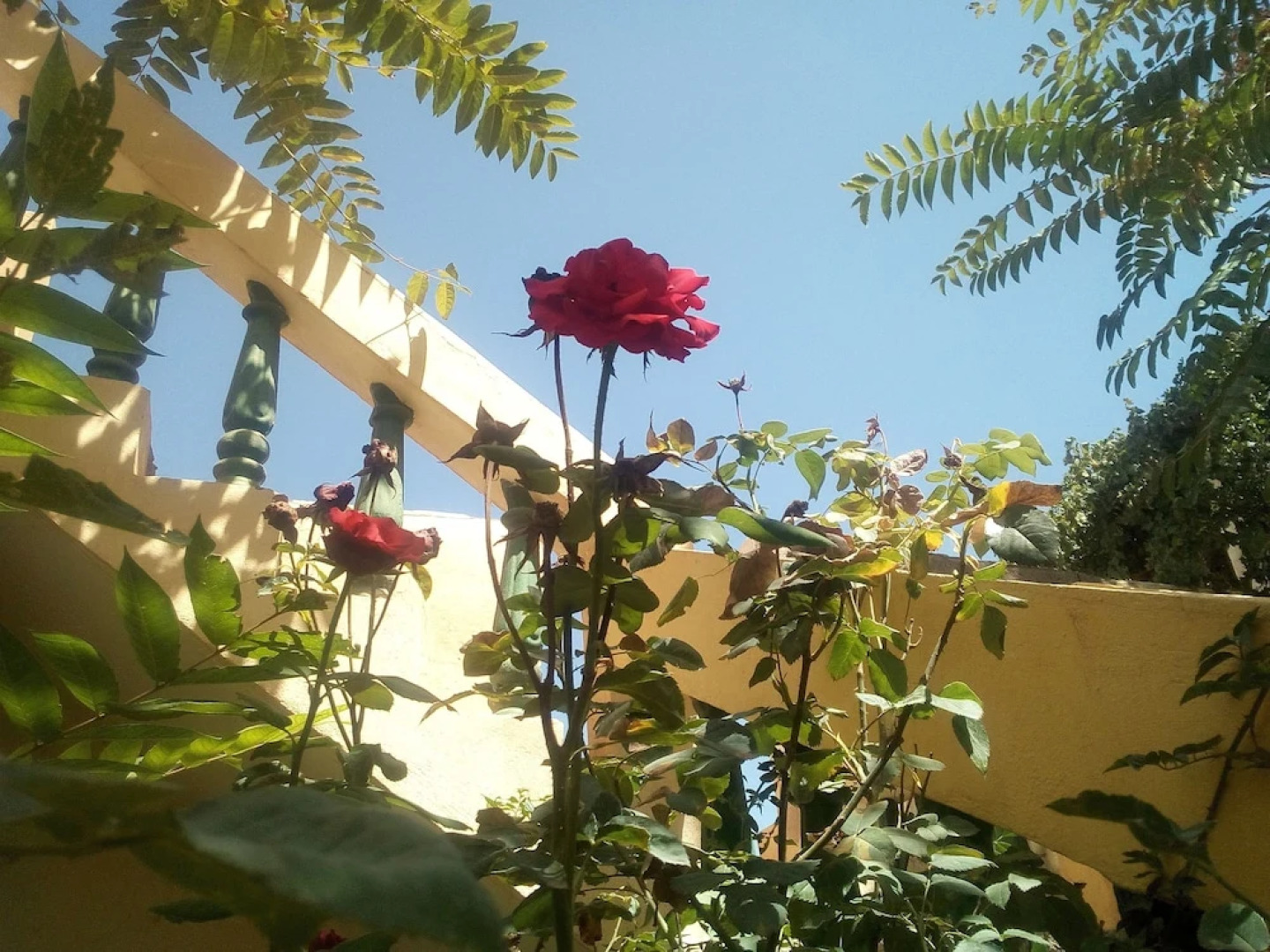 Auberge Jaafar Kasbaa Itto