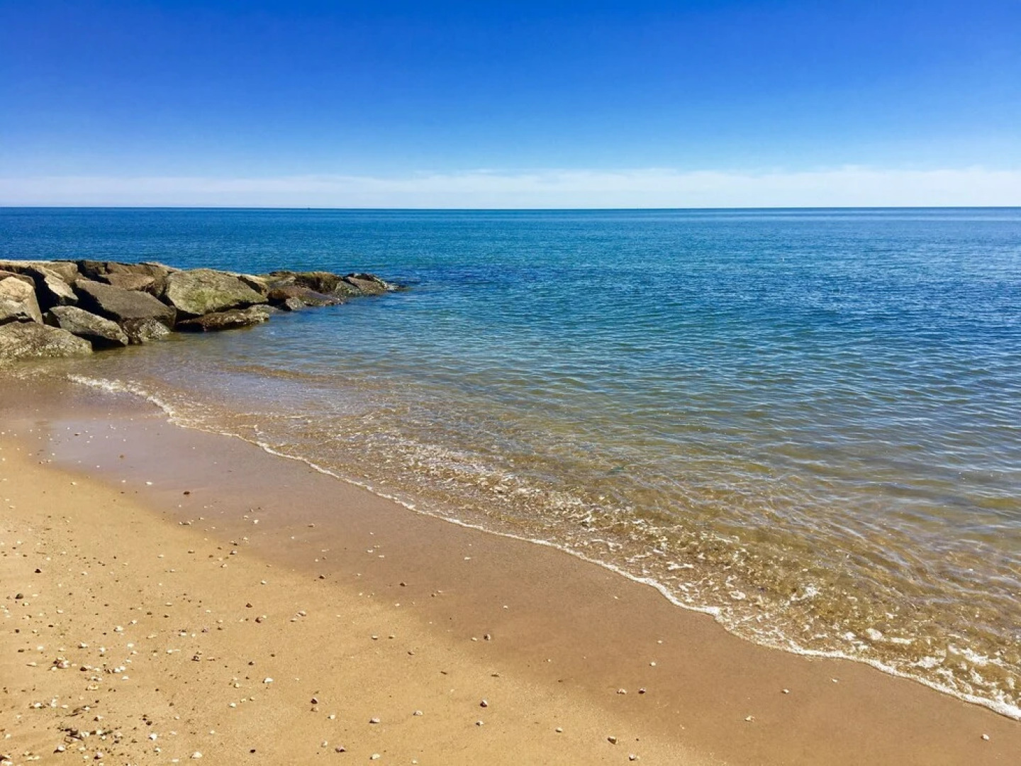 Kingfisher Oceanside