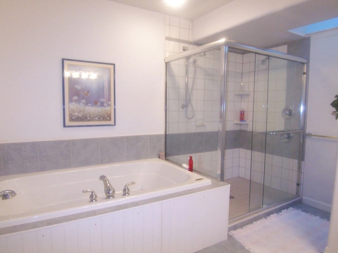 Tree Top Bed & Breakfast