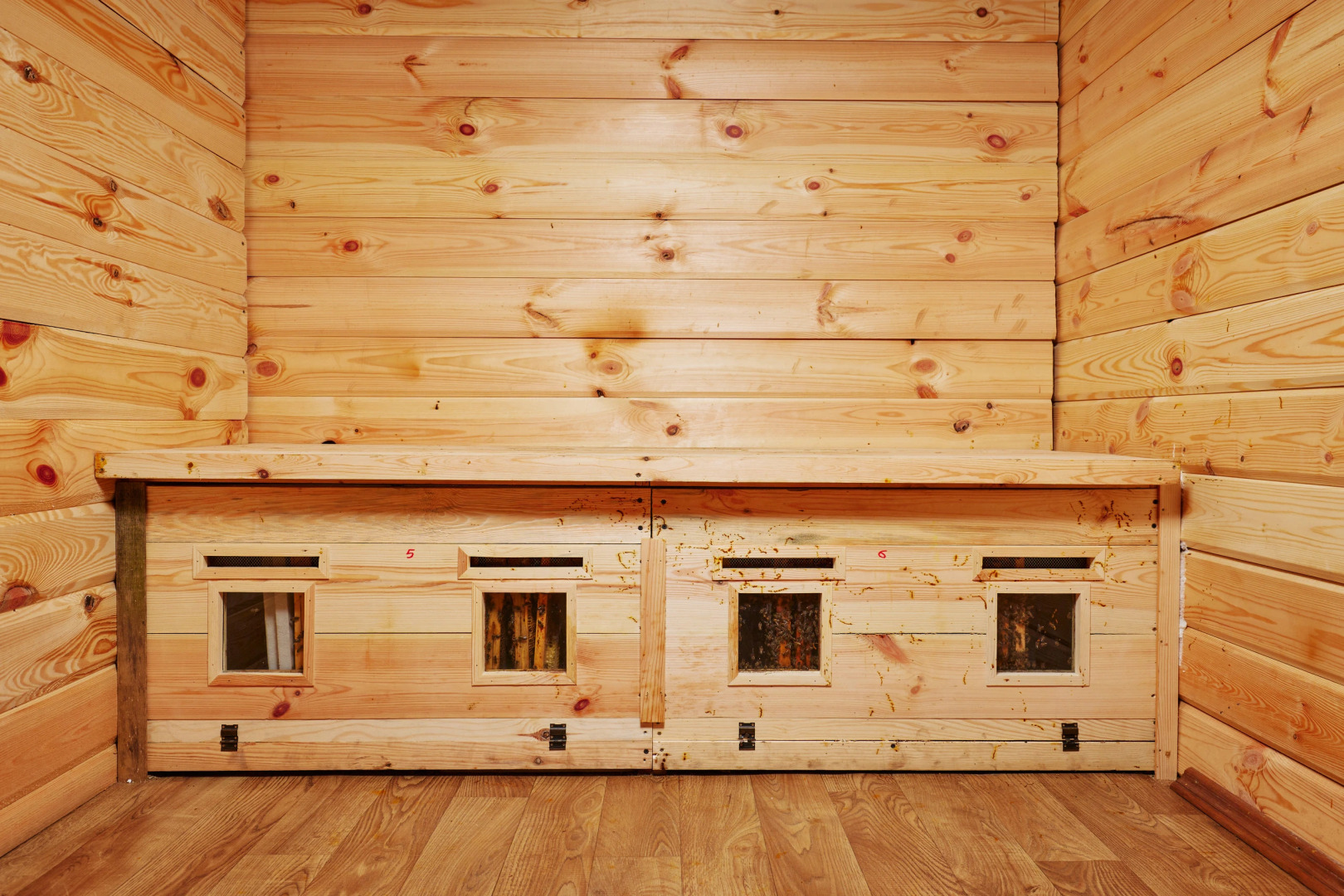 Sosnovyj bor, Minskaja oblast'